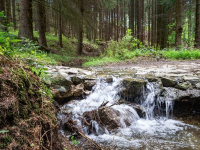 EifelSpur Münstereifelstieg Buegelsbach EifelSpur Münstereifelstieg Buegelsbach Nordeifel