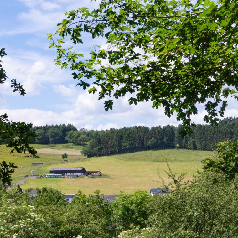 EifelSchleife Kuttenbach Ausblick Wandern Nordeifel