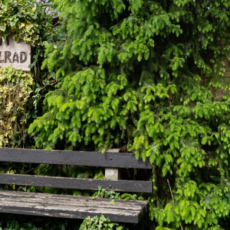 Rastmöglichkeit Mühlenrad Rastmöglichkeit Mühlenrad Wandern Eifel
