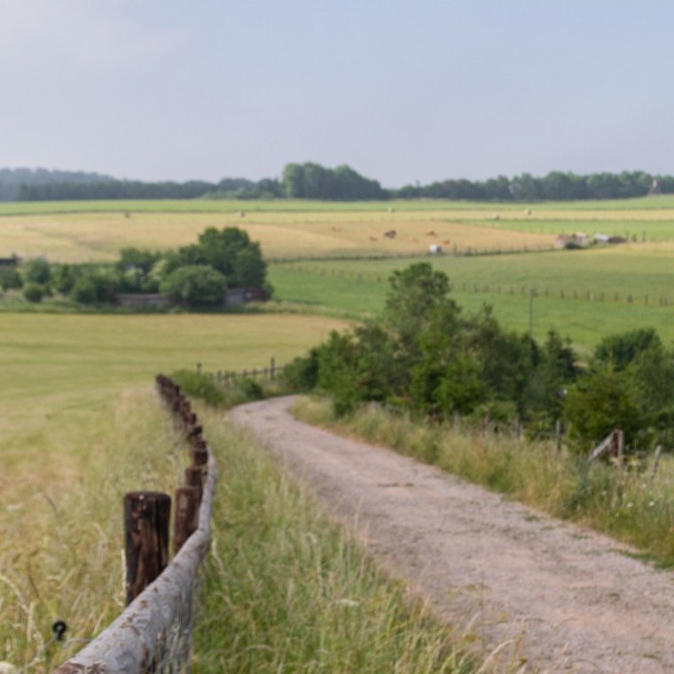 EifelSchleife Ahe Wegweiser Wanderung Nordeifel