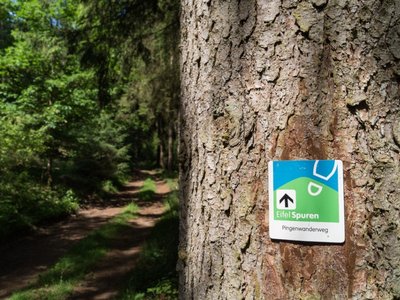 EifelSpur Pingen Wegweiser EifelSpur Pingen Wegweiser Wandern Nordeifel