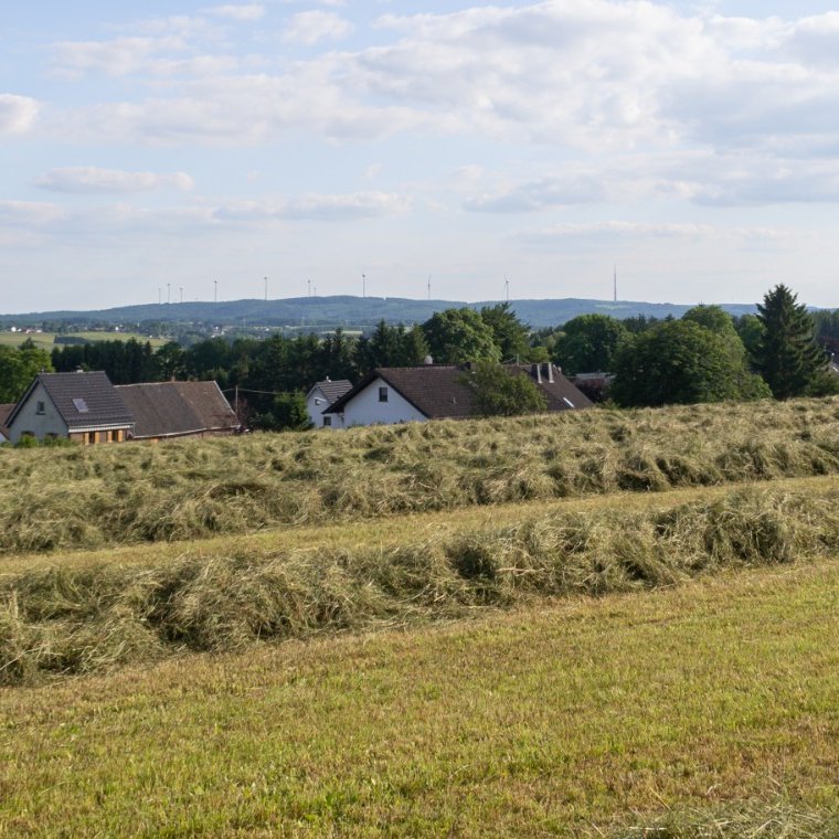 Krekeler Ausblick Wandern Eifel 