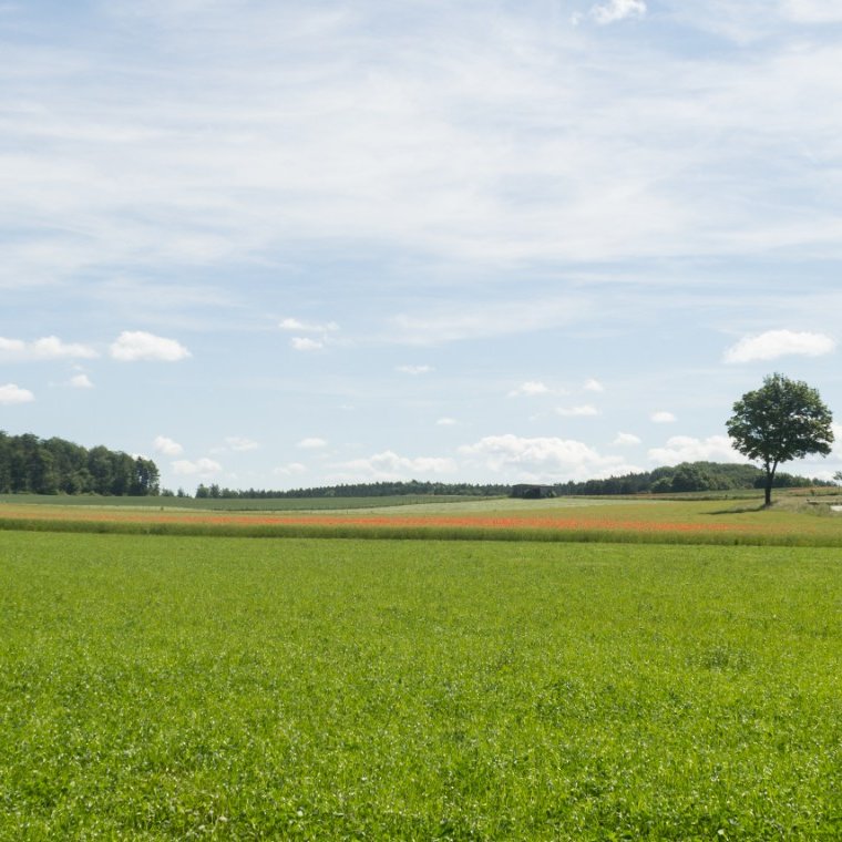 Aussicht Wandern Eifel 