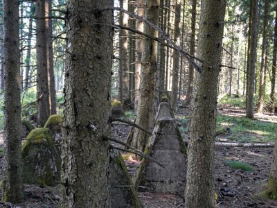 EifelSpur Westwall Höckerlinie EifelSpur Westwall Höckerlinie Wanderweg Nordeifel