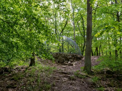 EifelSpur Kneipp Karolingische Fliehburg EifelSpur Karolingische Fliehburg Nordeifel Wandern
